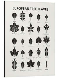 Magnettafel Europäische Baumblätter (englisch)