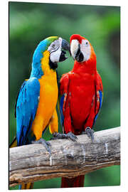 Magnettafel Kaffeklatsch