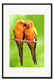 Gerahmter Kunstdruck ein glückliches Paar