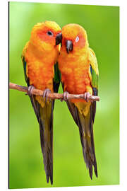 Magnettafel ein glückliches Paar