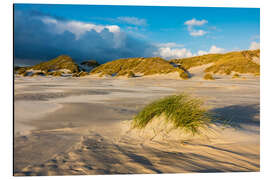 Aluminium print Dunes on the island of Amrum, North Sea