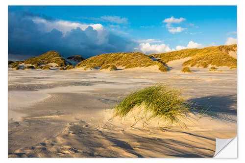 Vinilo para la pared Dunes on the island of Amrum, North Sea