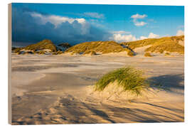 Hout print Dunes on the island of Amrum, North Sea