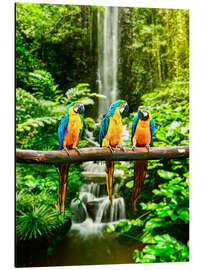 Magnettafel Drei Aras vor einem Wasserfall