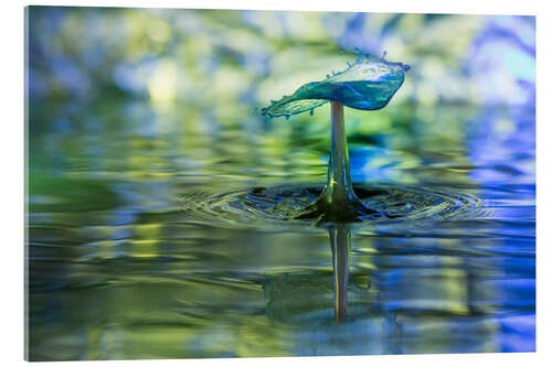 Quadro em acrílico Water drops with bokeh