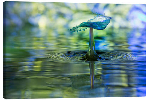 Lærredsbillede Water drops with bokeh