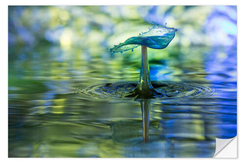 Wandsticker Wassertropfen mit Bokeh