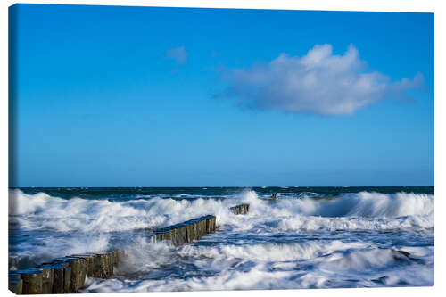 Lerretsbilde Groyne on shore of the Baltic Sea