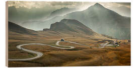 Print på træ Passo Giau, Dolomites, Italy