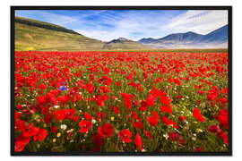 Gerahmter Kunstdruck Moonblumen auf Piano Grande, Umbrien, Italien