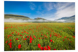 Foam board print Piano Grande, Umbria, Italy