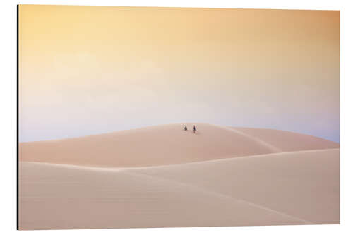 Stampa su alluminio White Sand Dunes, Vietnam