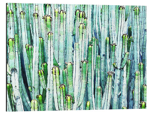 Tableau en aluminium Cactus aquarelle