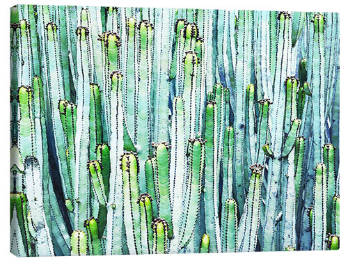 Canvas print Watercolor cactus