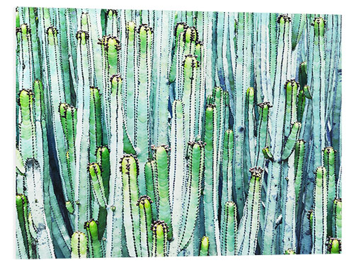 Foam board print Watercolor cactus