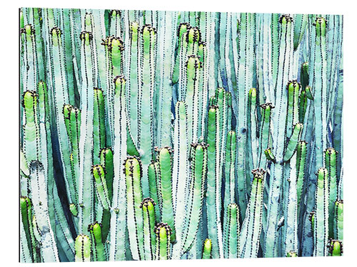 Tableau en plexi-alu Cactus aquarelle