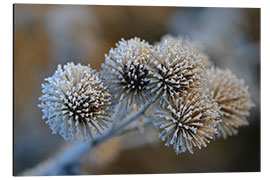 Alumiinitaulu The big burdock in winter