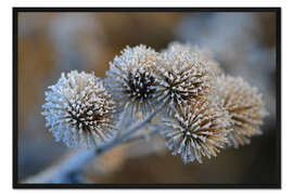 Gerahmter Kunstdruck Die grosse Klette im Winter