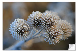 Selvklebende plakat The big burdock in winter