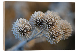 Wood print The big burdock in winter