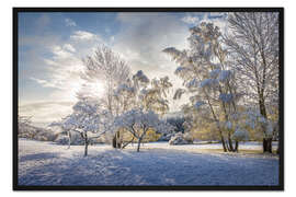 Gerahmter Kunstdruck Zauberwald 
