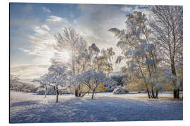 Magnettafel Zauberwald 
