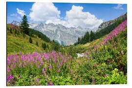 Stampa su alluminio Flowers in the summer in the Engadine in Switzerland