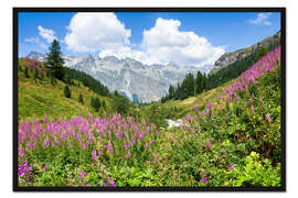 Gerahmter Kunstdruck Blumen im Sommer im Engadin in der Schweiz