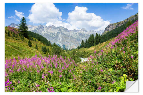 Sticker mural Flowers in the summer in the Engadine in Switzerland