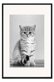 Gerahmter Kunstdruck Kleine Schönheit 2