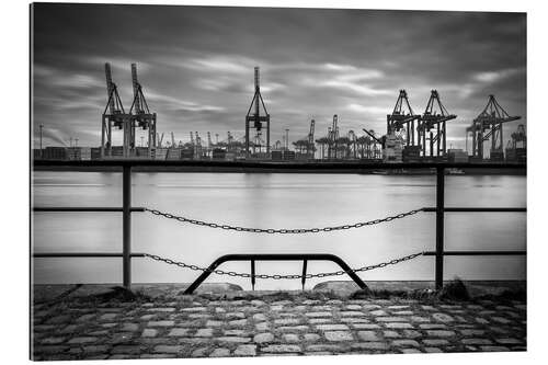 Gallery print Cranes