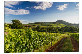 Aluminium print Vineyards in Germany