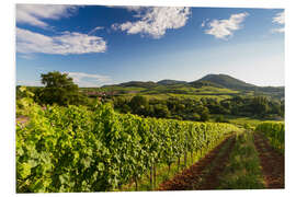 Foam board print Vineyards in Germany