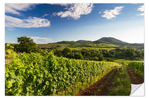 Wandsticker Weinberge in der Pfalz