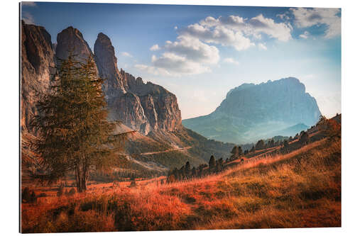 Tableau en plexi-alu Passo Gardena at autumn, Dolomites