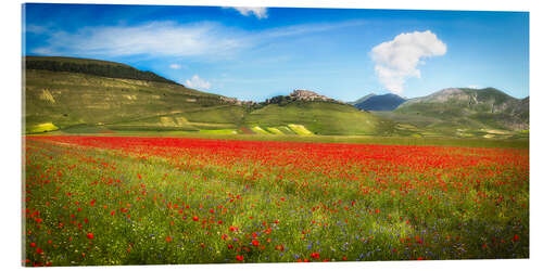 Tableau en verre acrylique Poppies at Piano Grande, Italy