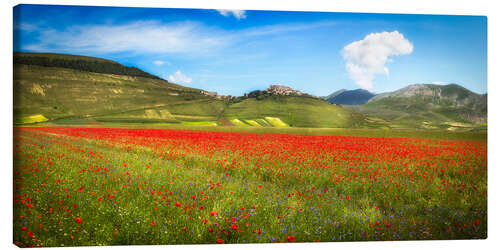 Canvas print Poppies at Piano Grande, Italy