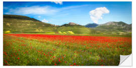 Sticker mural Poppies at Piano Grande, Italy