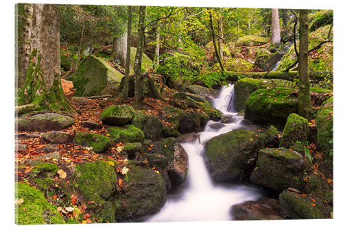 Acrylic print Gertelsbacher Waterfalls, Black Forest, Germany