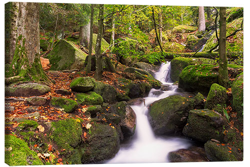 Leinwandbild Gertelsbacher Wasserfälle, Schwarzwald