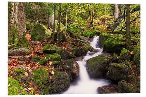 PVC-taulu Gertelsbacher Waterfalls, Black Forest, Germany