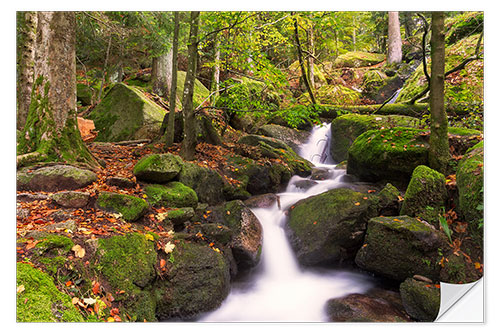 Wall sticker Gertelsbacher Waterfalls, Black Forest, Germany