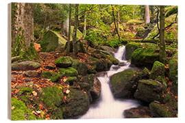 Holzbild Gertelsbacher Wasserfälle, Schwarzwald