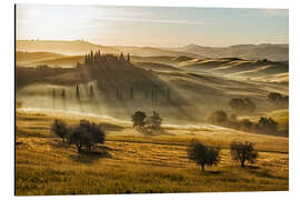 Aluminium print Dawn in Tuscany, Italy