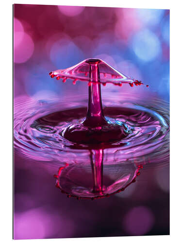 Gallery print High-speed water droplets with Bokeh