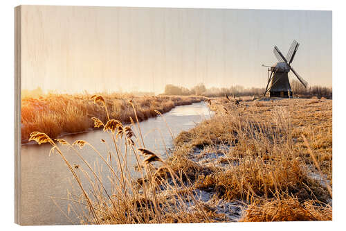 Cuadro de madera Windmill near Sande at cold winter morning