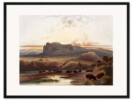 Gerahmter Kunstdruck Herde von Büffeln am oberen Missouri