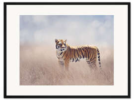 Gerahmter Kunstdruck Tigerdame