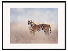 Kehystetty taidepainatus Tiger lady