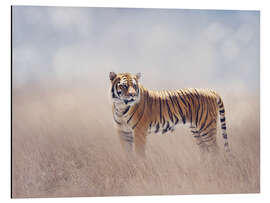 Magnettafel Tigerdame